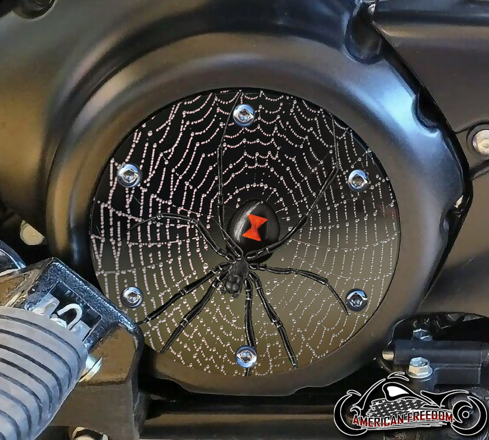 SUZUKI M109R Derby/Engine Cover - Spider On Web